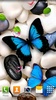 Butterfly Live Wallpaper screenshot 6