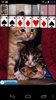 Kitten Solitaire screenshot 2