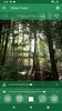 Entspannen Wald screenshot 15
