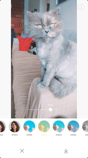 PICTAIL - Cykik - Preview 9