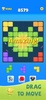 Color Block Puzzle Game screenshot 9