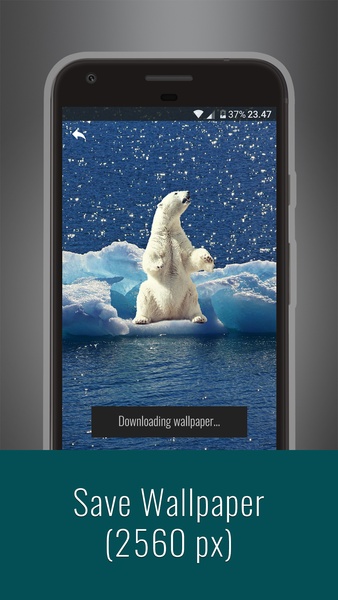 Animals Wallpapers - Preview 5