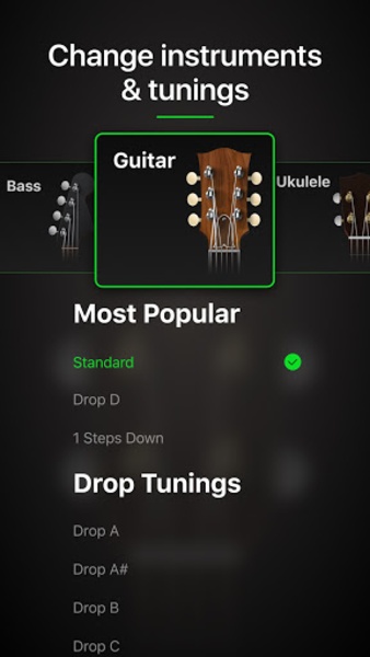 Drop b store tuning guitar tuna