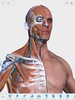 V. Anatomy screenshot 17