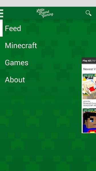 LittleLizardGaming - Preview 14