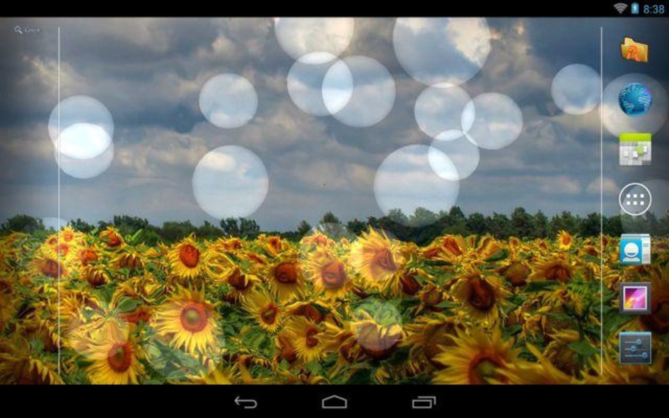 Flowers Reflection Free - Preview 8