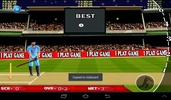 T20 Cricket Blast 2014 screenshot 1