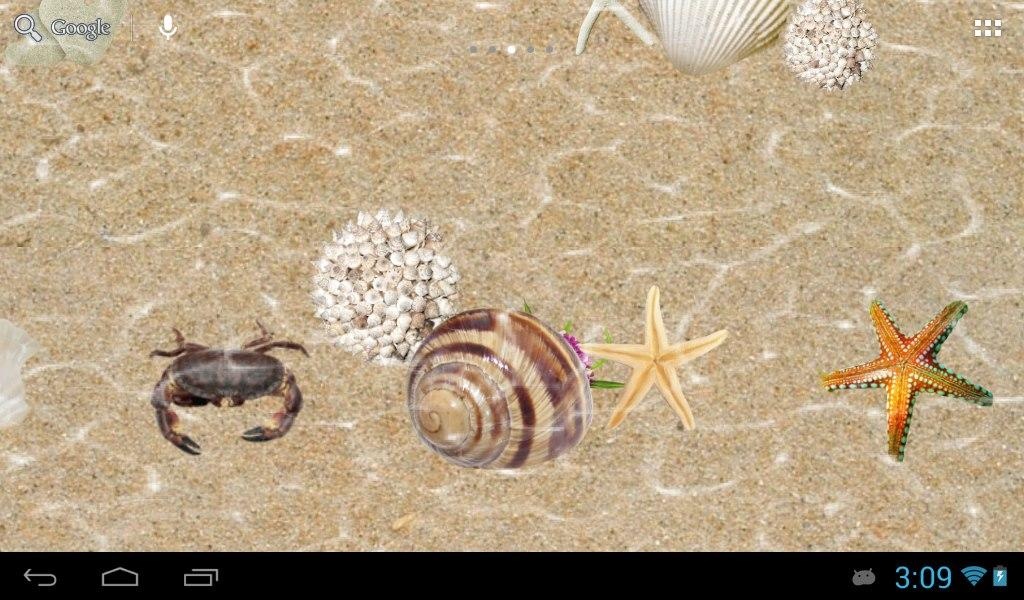 Ocean floor - Preview 2