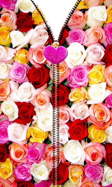 PinkRosesZipperUnLock - Preview 1