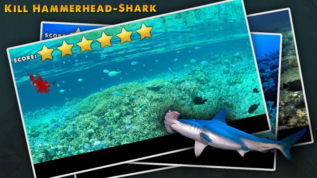 Kill Hammerhead Shark - Preview 2