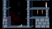 Prince Of Persia 1 screenshot 5