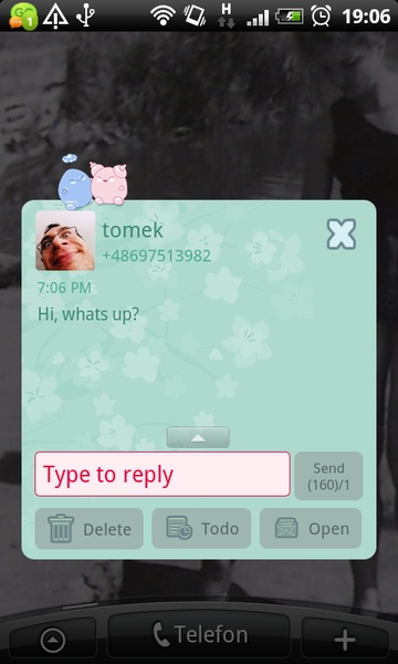 GO SMS Japan Garden Theme - Preview 3