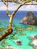 Landscape Puzzle Jigsaw screenshot 9