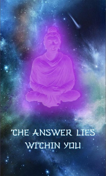 Wise Answer - Preview 13