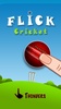 Flick Cricket 3D screenshot 7