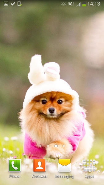 Cute Dogs Live Wallpaper - Preview 3