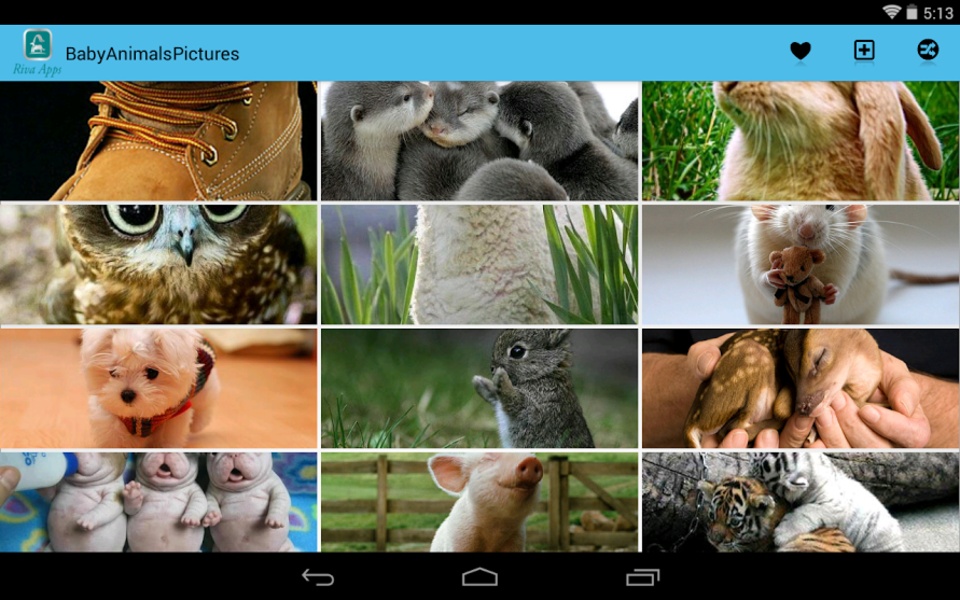 BabyAnimalsPictures - Preview 3
