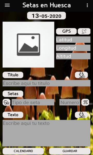 Setas en Huesca - Preview 2
