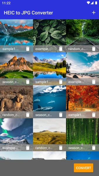 HEIC to JPG Converter - Preview 4
