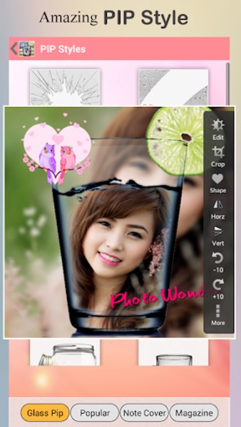 Photo Wonder - Preview 6