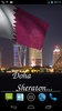 Qatar Flag screenshot 7