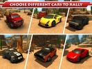 Super Toon Parking Rally 2015 screenshot 5