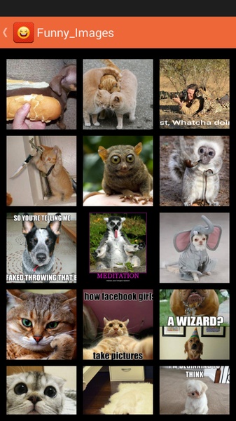 Whatapp Images - Preview 6