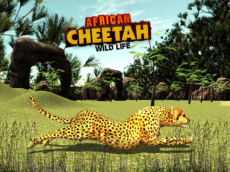 African Cheetah Wildlife - Preview 7