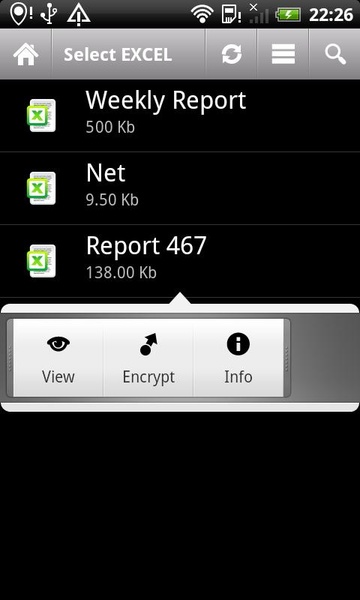 Excel Lock - Preview 4