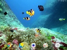 Colorful Fishes Live Wallpaper screenshot 4