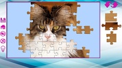 Big puzzles with cats screenshot 2