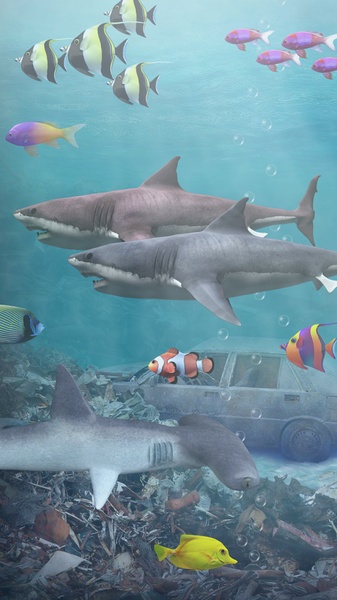 Shark aquarium - Preview 1