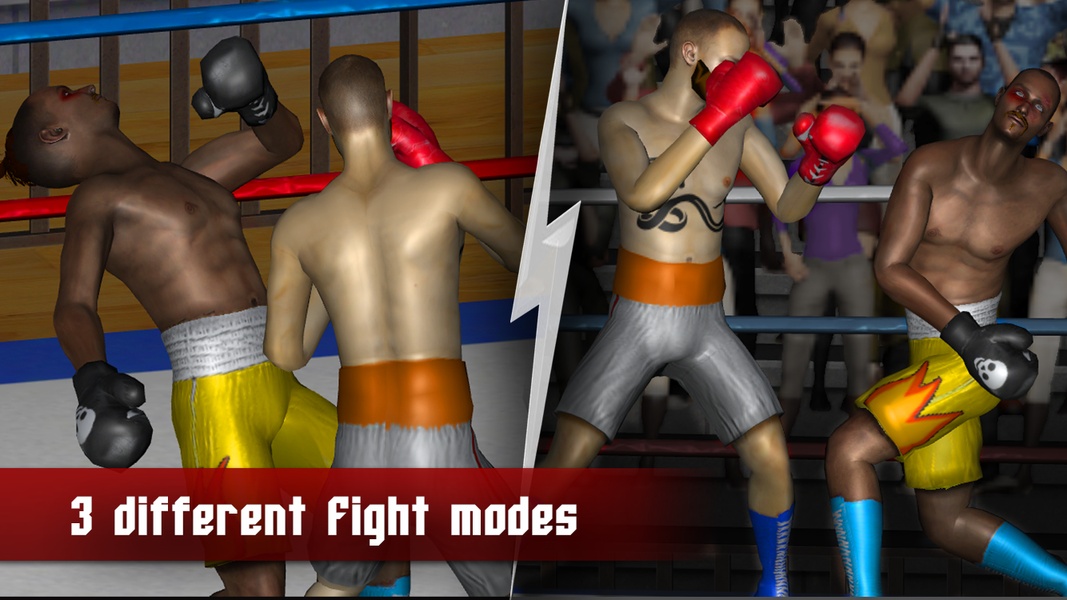 Boxing 2016 - Preview 2