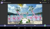 Wedding Decoration screenshot 5