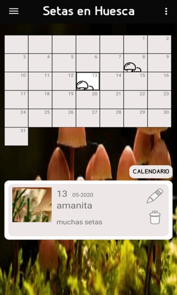 Setas en Huesca - Preview 3