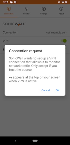 SonicWALL - Preview 6