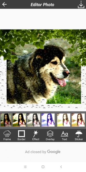 Rain Photography - Preview 7