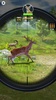 Sniper Shooter Wild screenshot 14