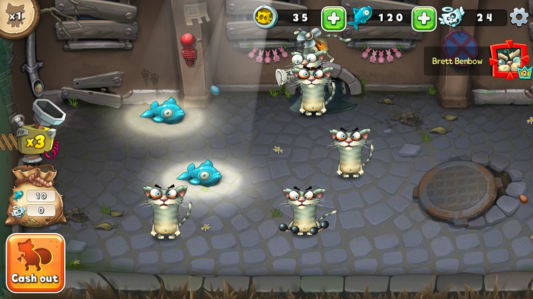 Cats Empire - Preview 11