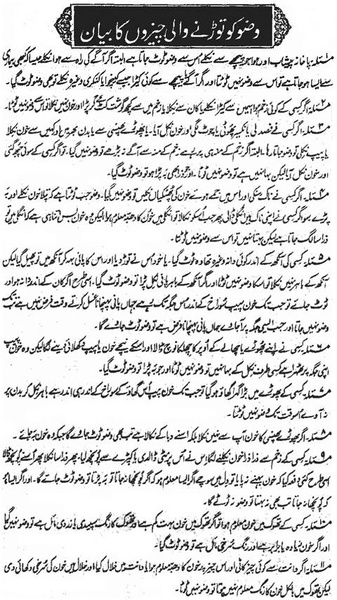 Gusal Aur Wazoo - Preview 3