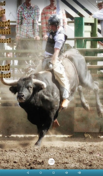 Bull Rodeo Live Wallpaper - Preview 1