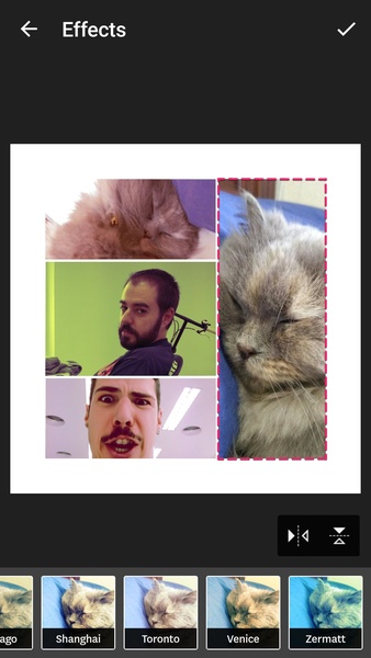 Fuzel Collage - Preview 3