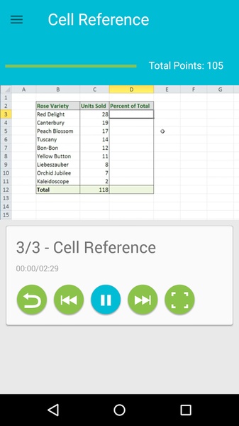 Learn Excel - Preview 5