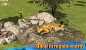 Angry Cheetah Simulator 3D screenshot 3