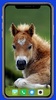 Horse Wallpaper screenshot 15