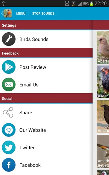 North American Birds Sounds - Preview 17