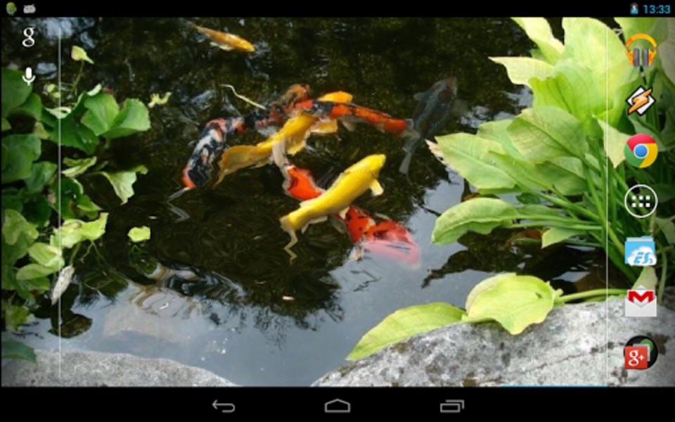 Realistic Koi - Preview 1