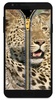 layar kunci zipper - leopard screenshot 3