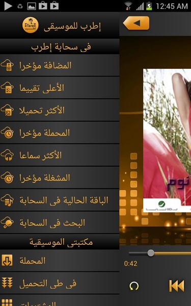 eTarab Music - Preview 7