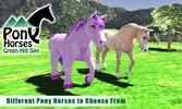 Pony Horses Green Hill Sim screenshot 9